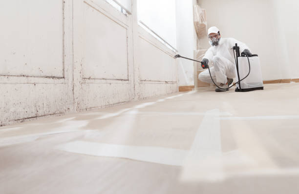 24/7 Emergency Mold Remediation experts in Jeffersonton, VA