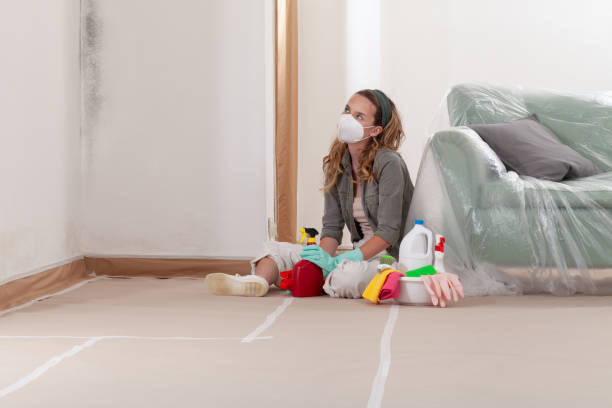 Reliable Mold Remediation contractor in Jeffersonton, VA by 24 Hour Mold Removal