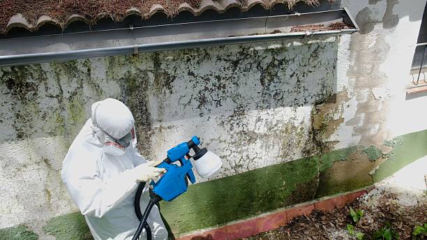 Top rated local Mold Remediation specialists in Jeffersonton, VA